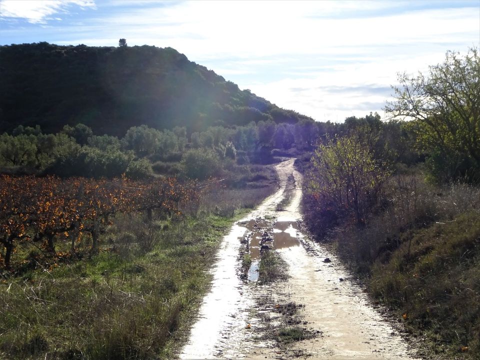 Finca i Maella, Zaragoza - foto 3