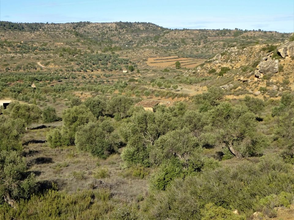 Finca i Maella, Zaragoza - bilde 4