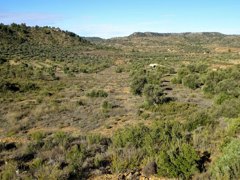 Finca i Maella, Zaragoza - bilde 5
