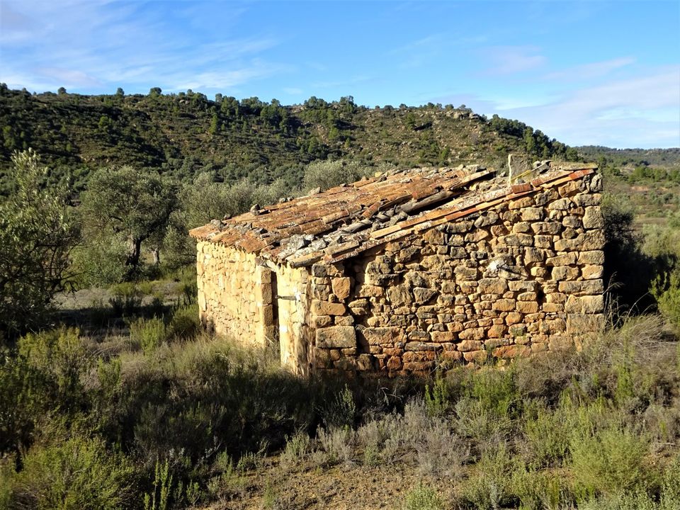 Finca i Maella, Zaragoza - bilde 1