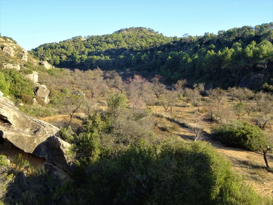 Finca i Maella, Zaragoza - bilde 2