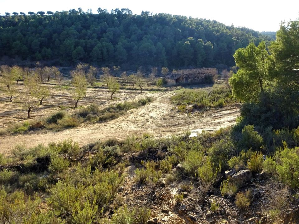 Finca i Maella, Zaragoza - bilde 4
