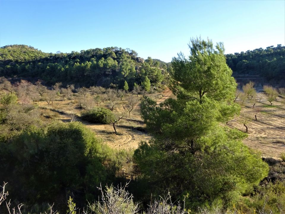 Finca i Maella, Zaragoza - bilde 3