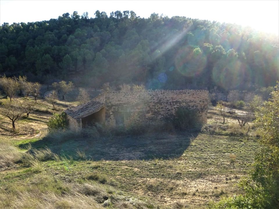 Finca i Maella, Zaragoza - bilde 5