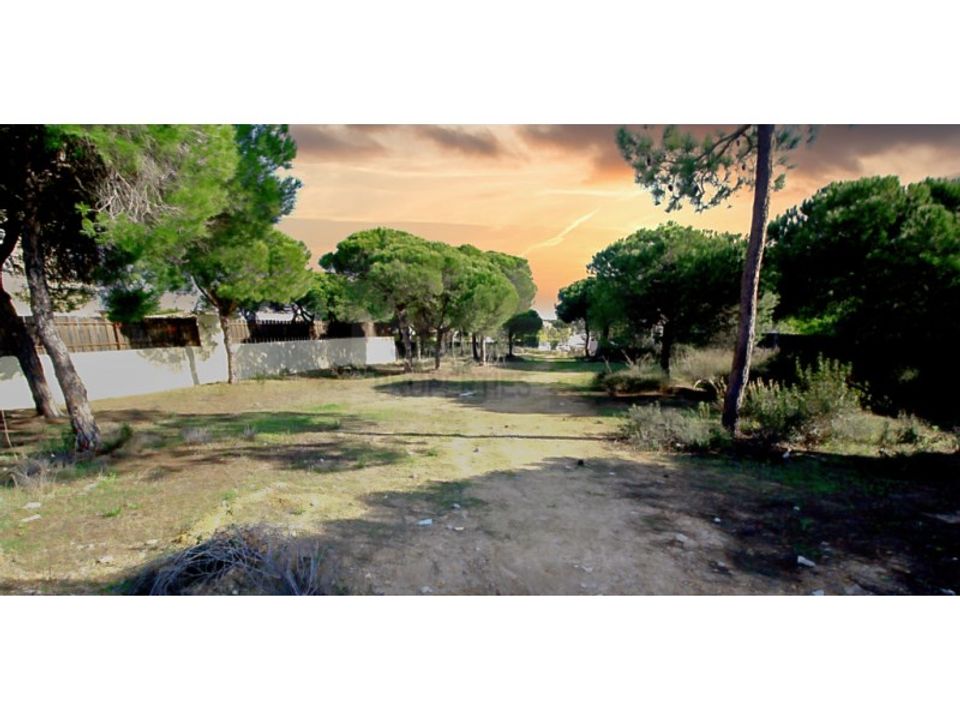 Helårsgrund i Almancil, Faro - foto 1