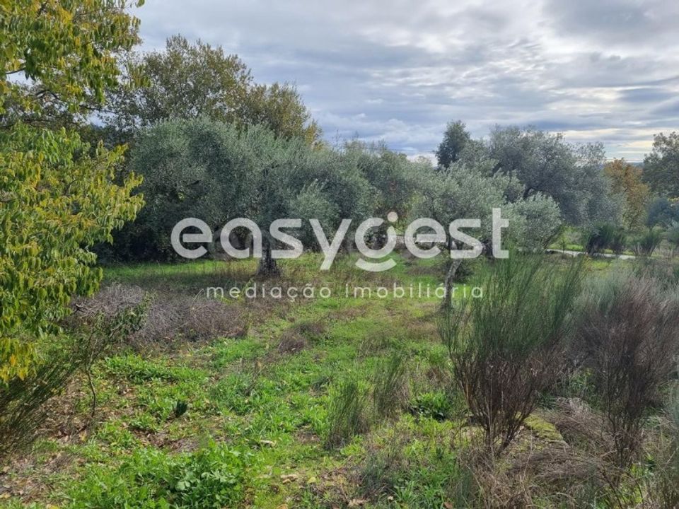 Helårsgrund i Monsanto e Idanha-a-Velha, Castelo Branco - foto 2