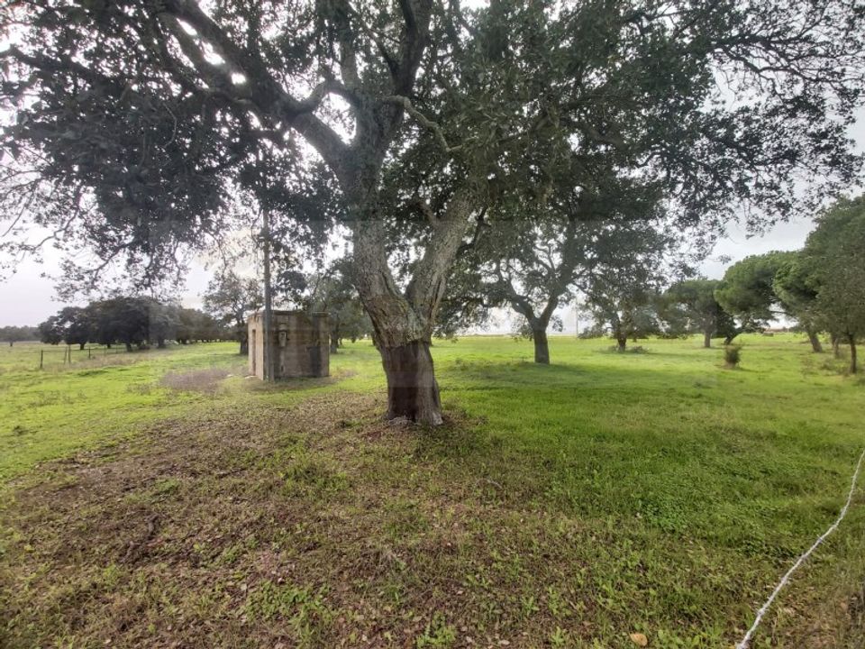 Farm i Palmela, Setubal - foto 2