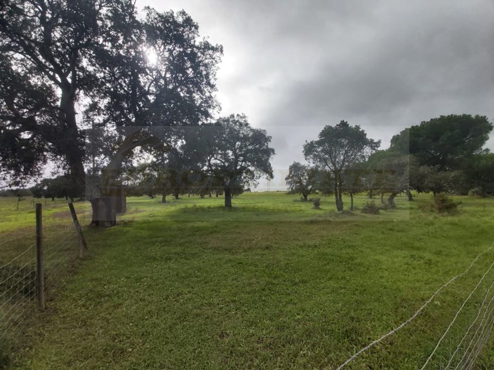 Farm i Palmela, Setubal - foto 3