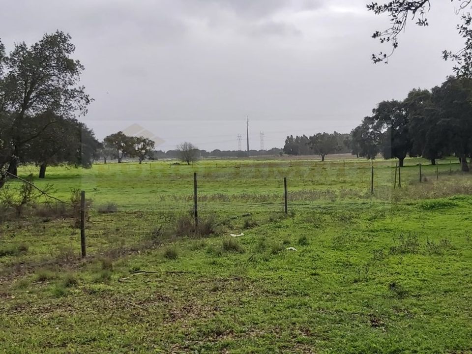 Farm i Palmela, Setubal - foto 4