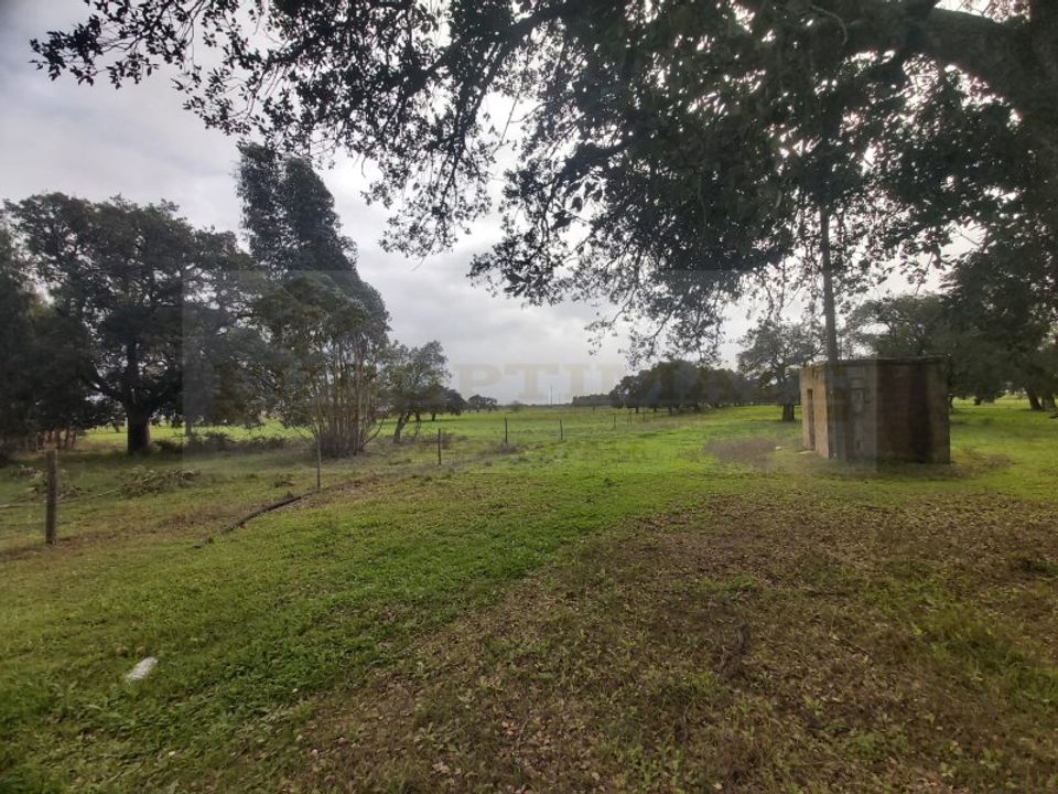 Farm i Palmela, Setubal - foto 5