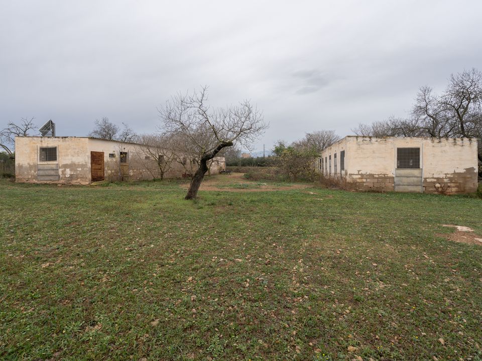 Gårdshus i La Galera, Tarragona - bilde 4