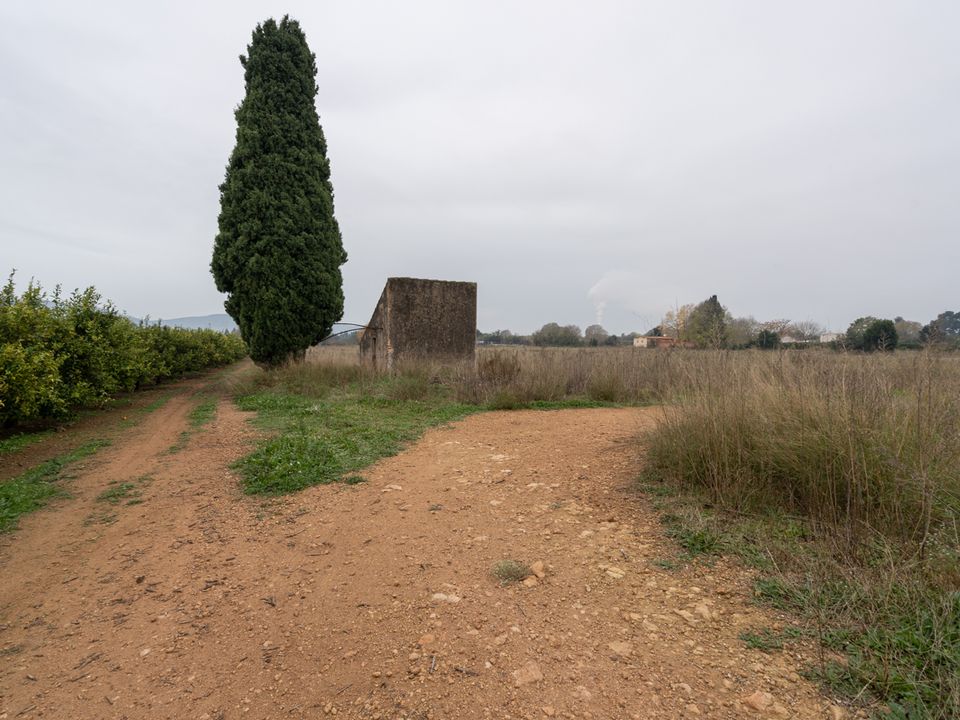 Finca i Santa Barbara, Tarragona - foto 4