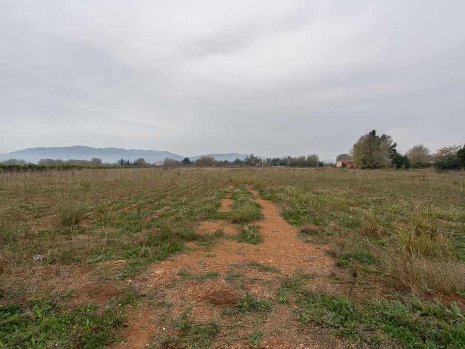 Finca i Santa Barbara, Tarragona - foto 5