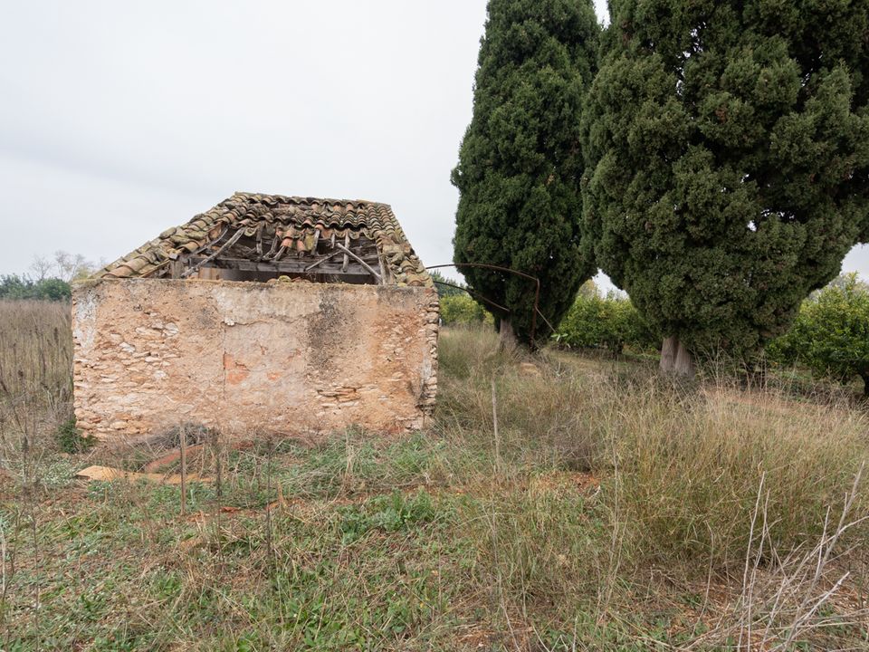 Finca i Santa Barbara, Tarragona - foto 2