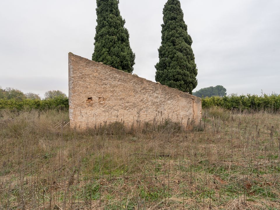 Finca i Santa Barbara, Tarragona - foto 3
