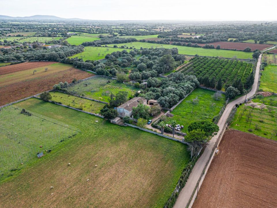 Landhuis in Felanitx, Mallorca - foto 1