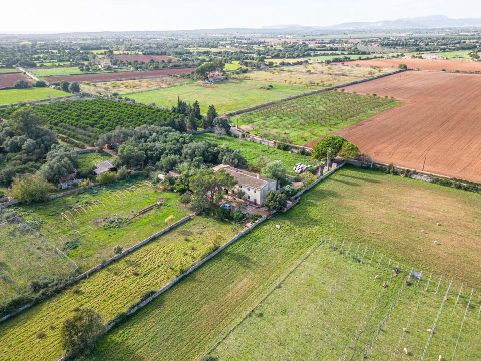 Landhuis in Felanitx, Mallorca - foto 2