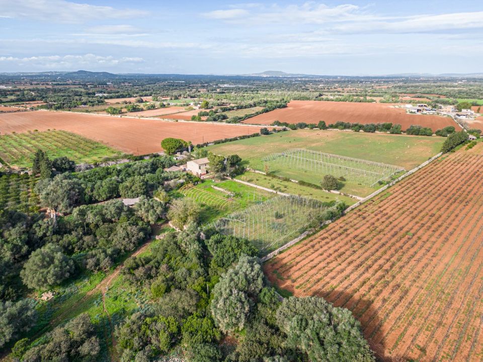 Landhuis in Felanitx, Mallorca - foto 3