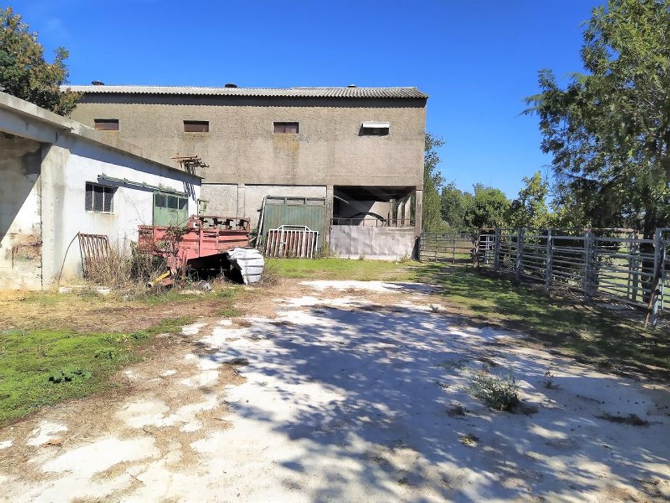 Granja en Boidobra, Castelo Branco - foto 4