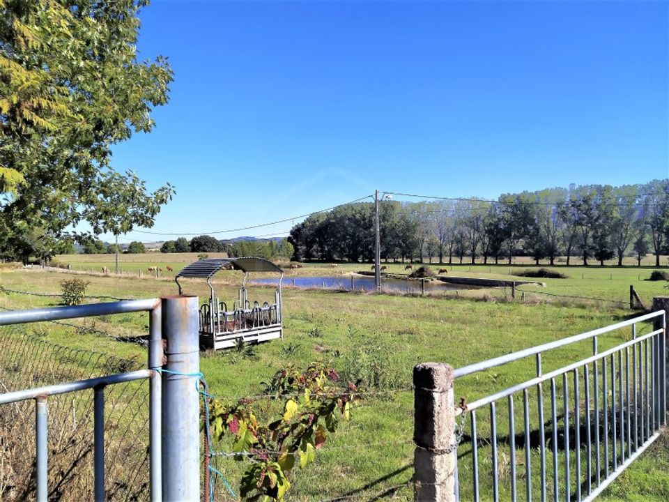 Granja en Boidobra, Castelo Branco - foto 5