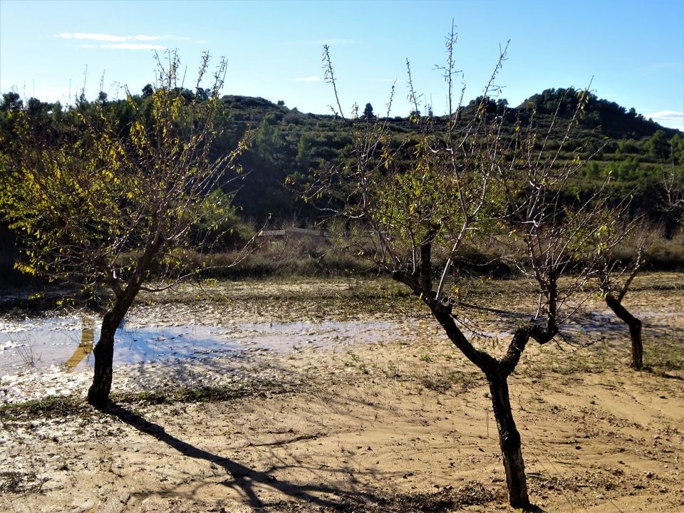 Finca i Maella, Zaragoza - foto 3