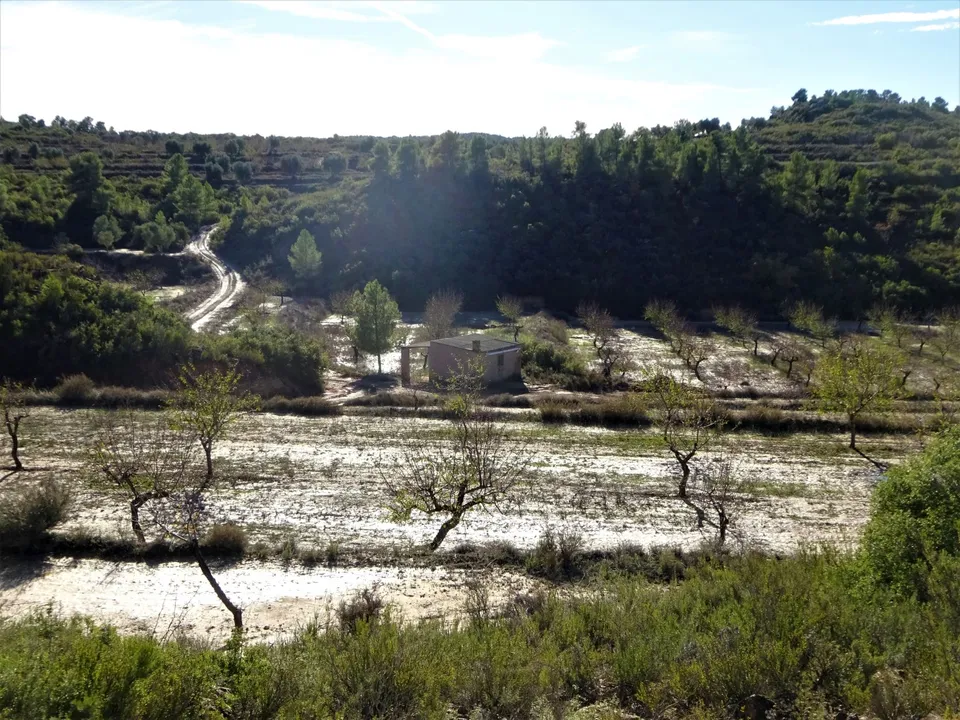 Finca i Maella, Zaragoza - foto 2