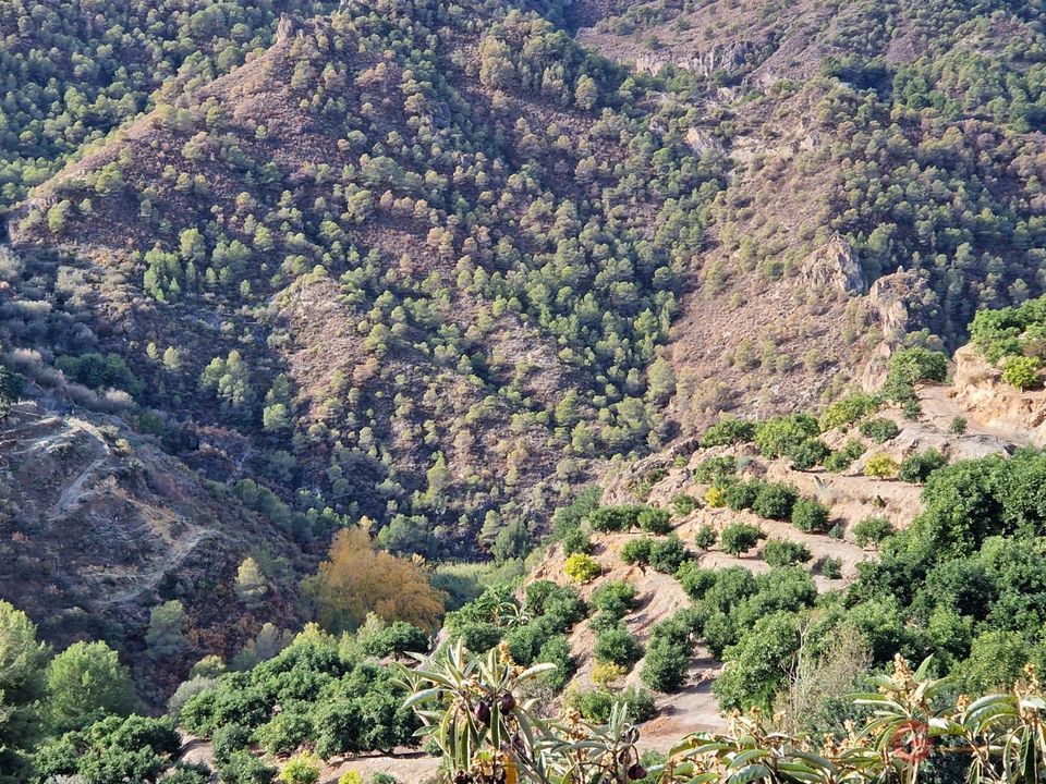 Helårsgrund i Guajar Fondon, Granada - foto 1