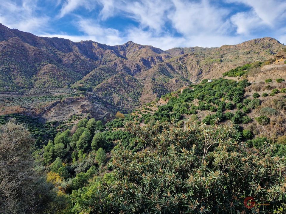 Helårsgrund i Guajar Fondon, Granada - foto 3