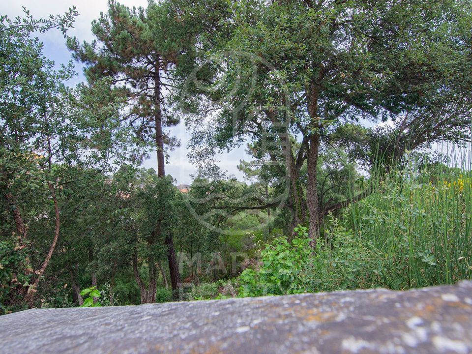 Helårsgrund i Lloret De Mar, Gerona - foto 3