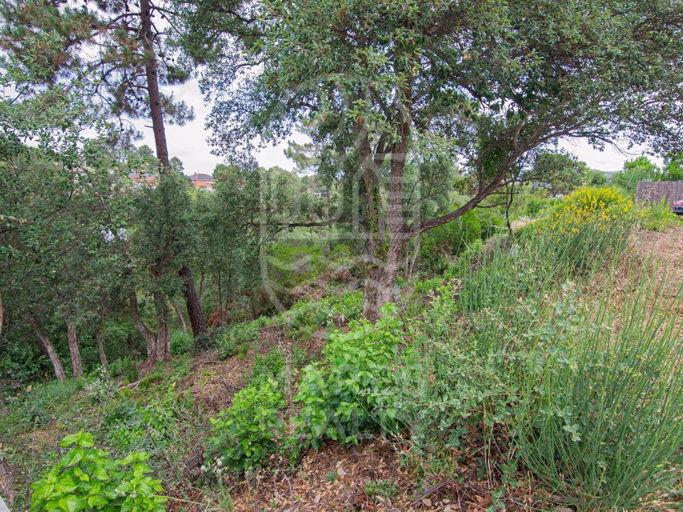Helårsgrund i Lloret De Mar, Gerona - foto 4