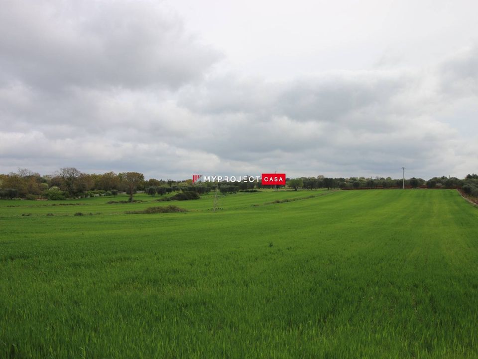 Farm hus i Ceglie Messapica, Brindisi - foto 3