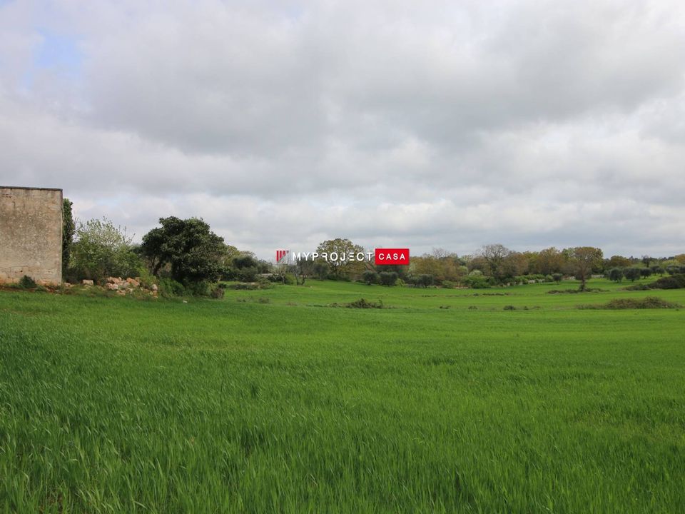 Farm hus i Ceglie Messapica, Brindisi - foto 4