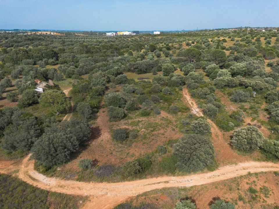 Helårsgrund i Torres Novas, Santarem - foto 1