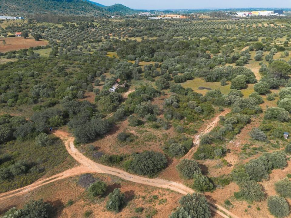 Helårsgrund i Torres Novas, Santarem - foto 2