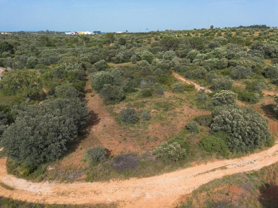 Helårsgrund i Torres Novas, Santarem - foto 3
