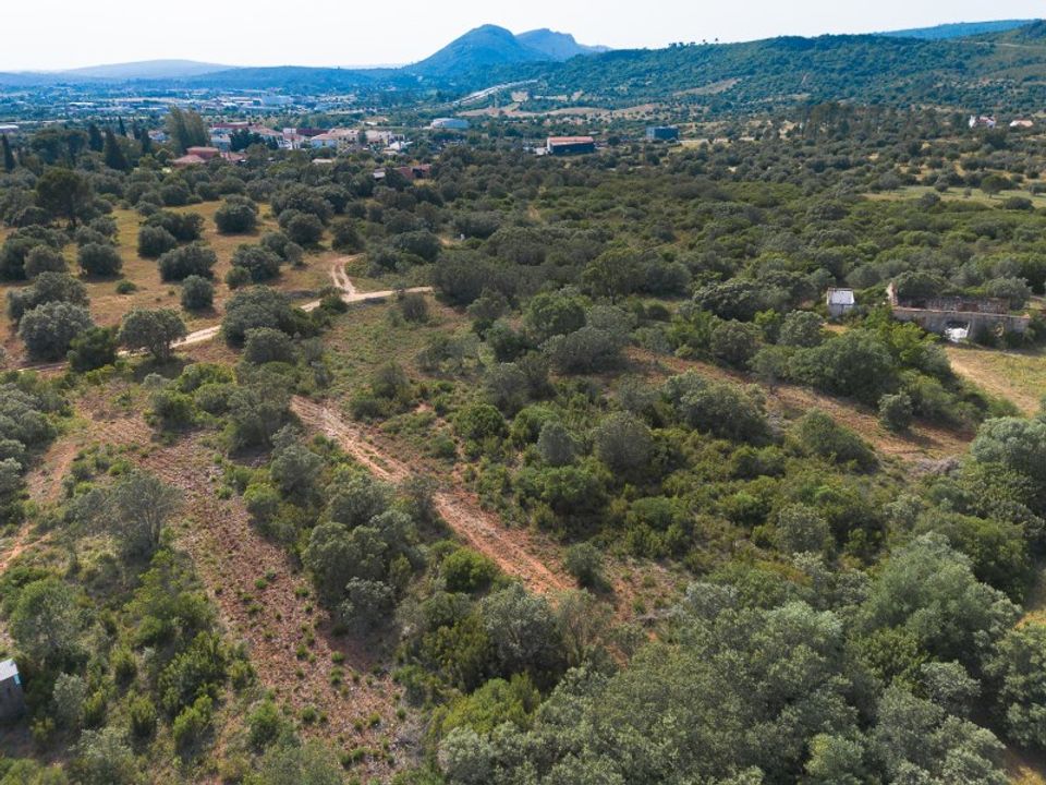 Helårsgrund i Torres Novas, Santarem - foto 5