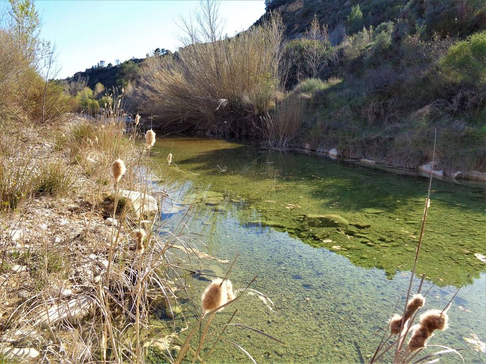 Finca i Maella, Zaragoza - bilde 3