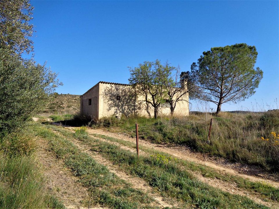 Finca i Maella, Zaragoza - bilde 4