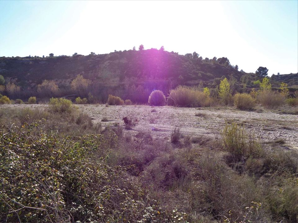 Finca i Maella, Zaragoza - bilde 2