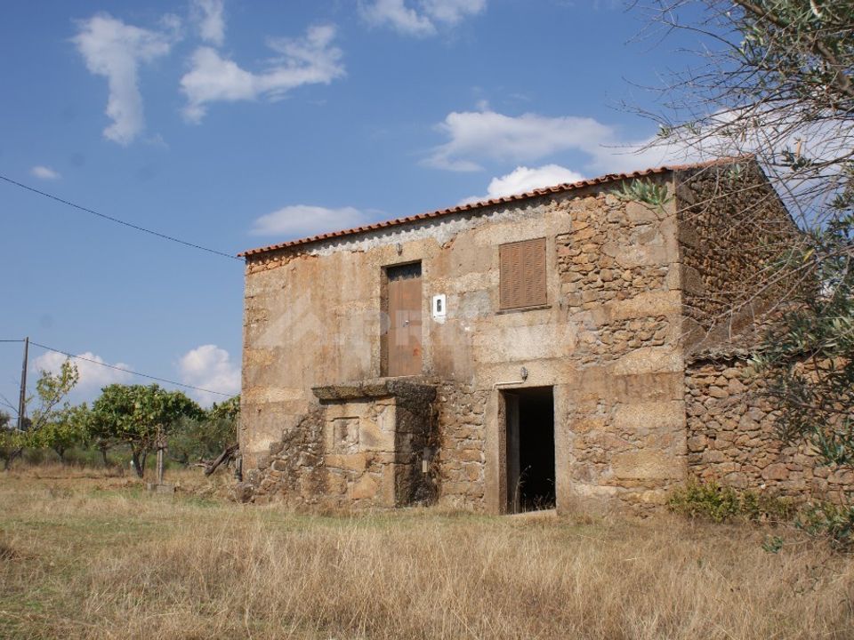 Farm i Fundao, Castelo Branco - foto 2