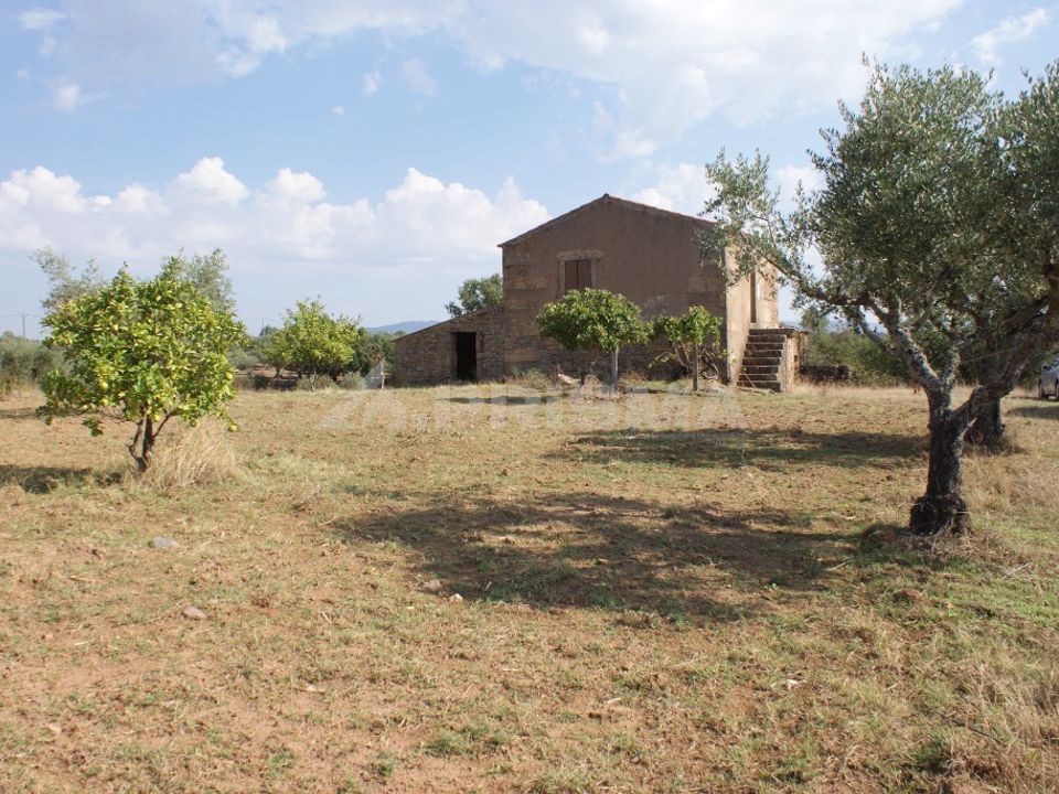 Farm i Fundao, Castelo Branco - foto 3