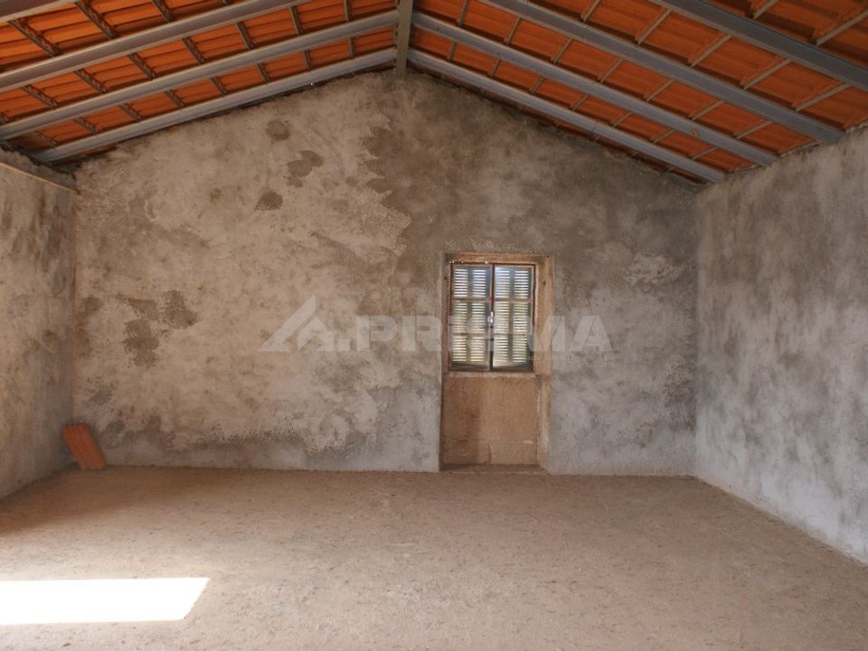 Farm i Fundao, Castelo Branco - foto 4