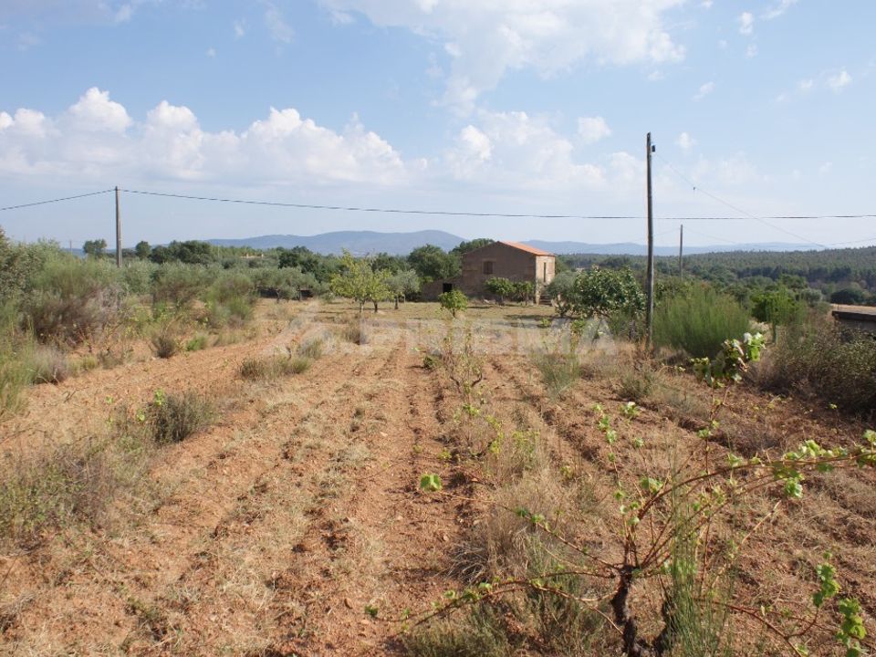 Farm i Fundao, Castelo Branco - foto 1