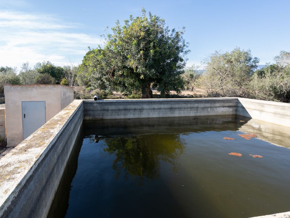 Finca i Santa Barbara, Tarragona - foto 2