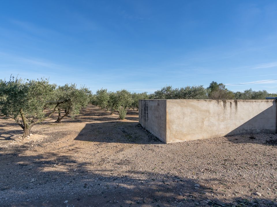 Finca i Santa Barbara, Tarragona - foto 3