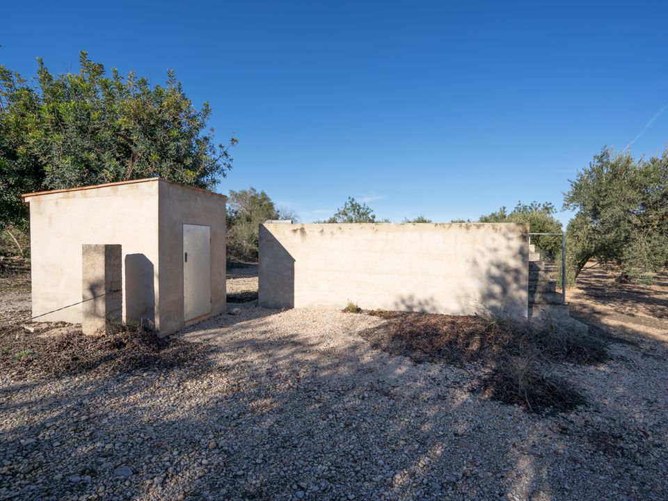 Finca i Santa Barbara, Tarragona - foto 4