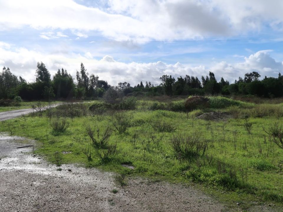 Helårsgrund i Montijo, Setubal - foto 3