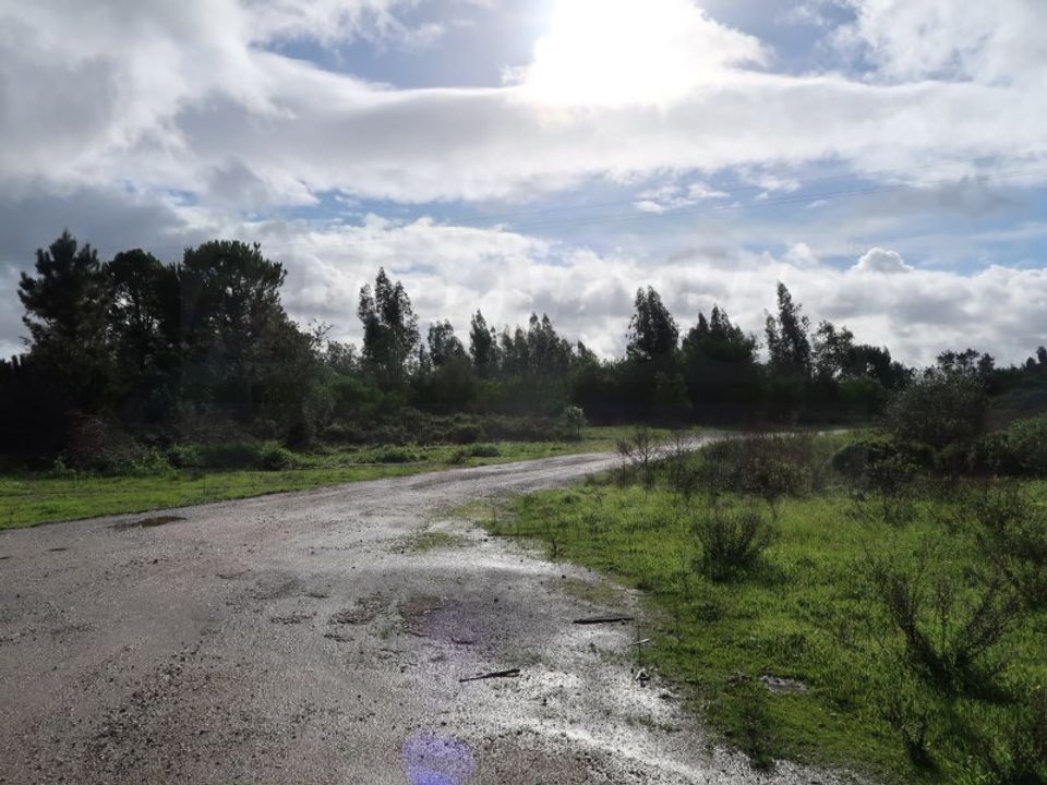 Helårsgrund i Montijo, Setubal - foto 4