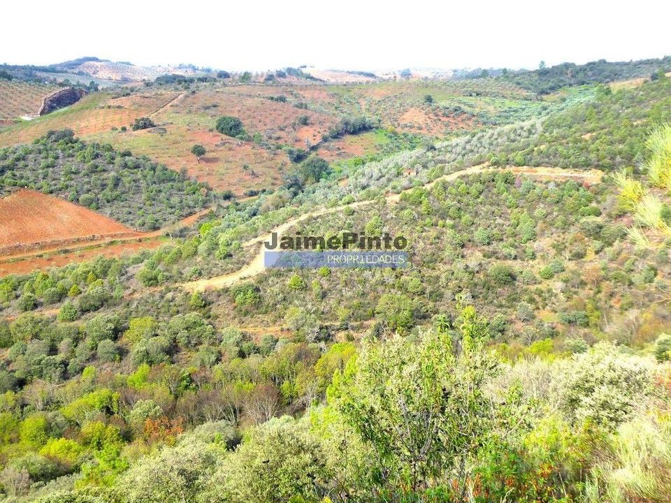 Helårsgrund i Alfandega da Fe, Braganca - foto 5