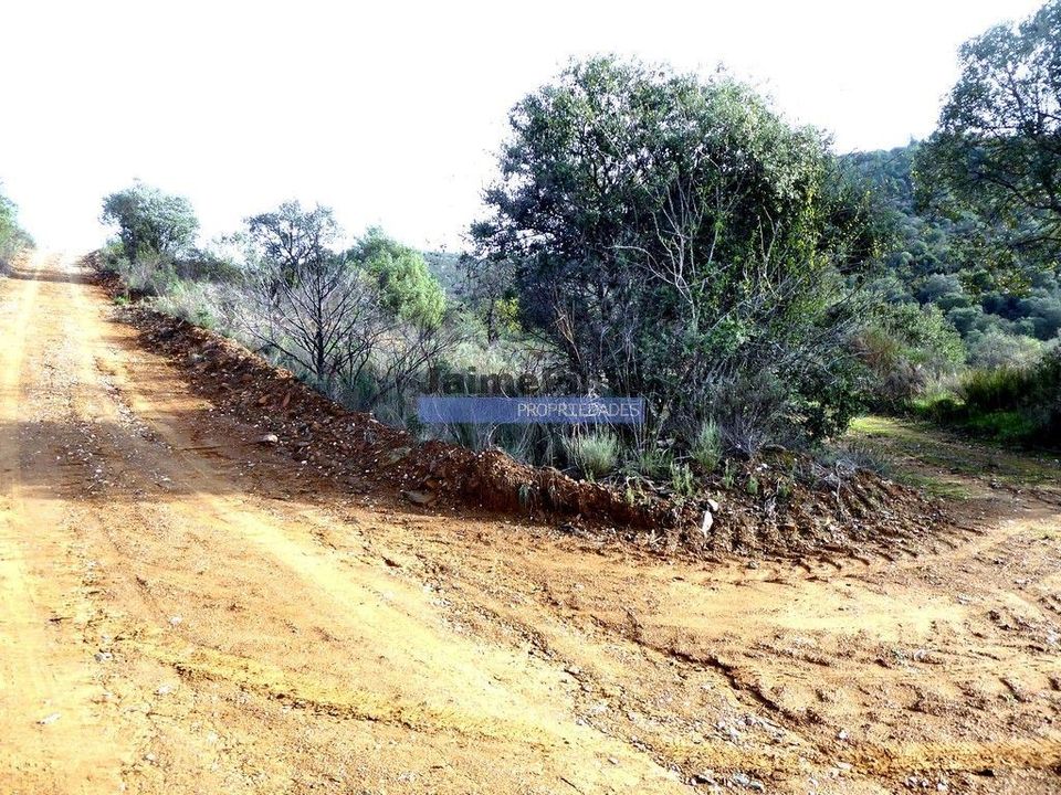 Helårsgrund i Alfandega da Fe, Braganca - foto 3